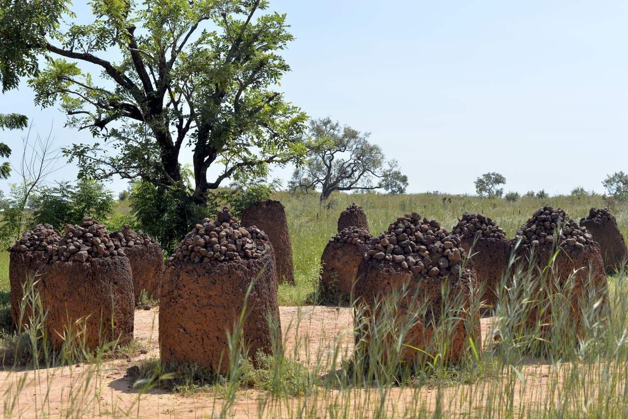 Whispers of the Ancients: Unlocking the Mystery of Gambia’s Wassu Stone Circles