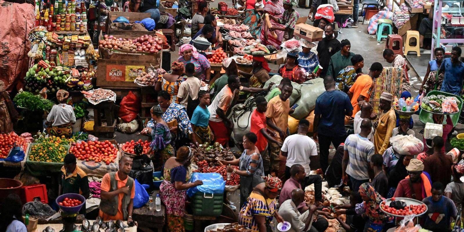 2025 Africa Economy Recap