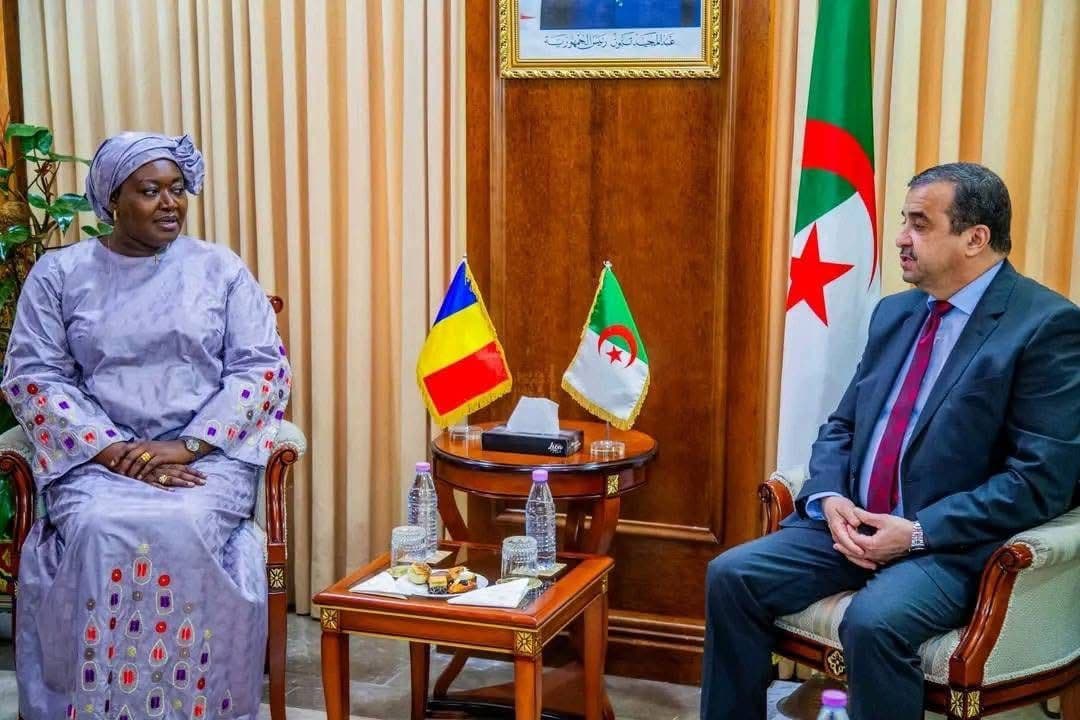 تشاد والجزائر تبحثان توسيع التعاون في الطاقة والمناجم