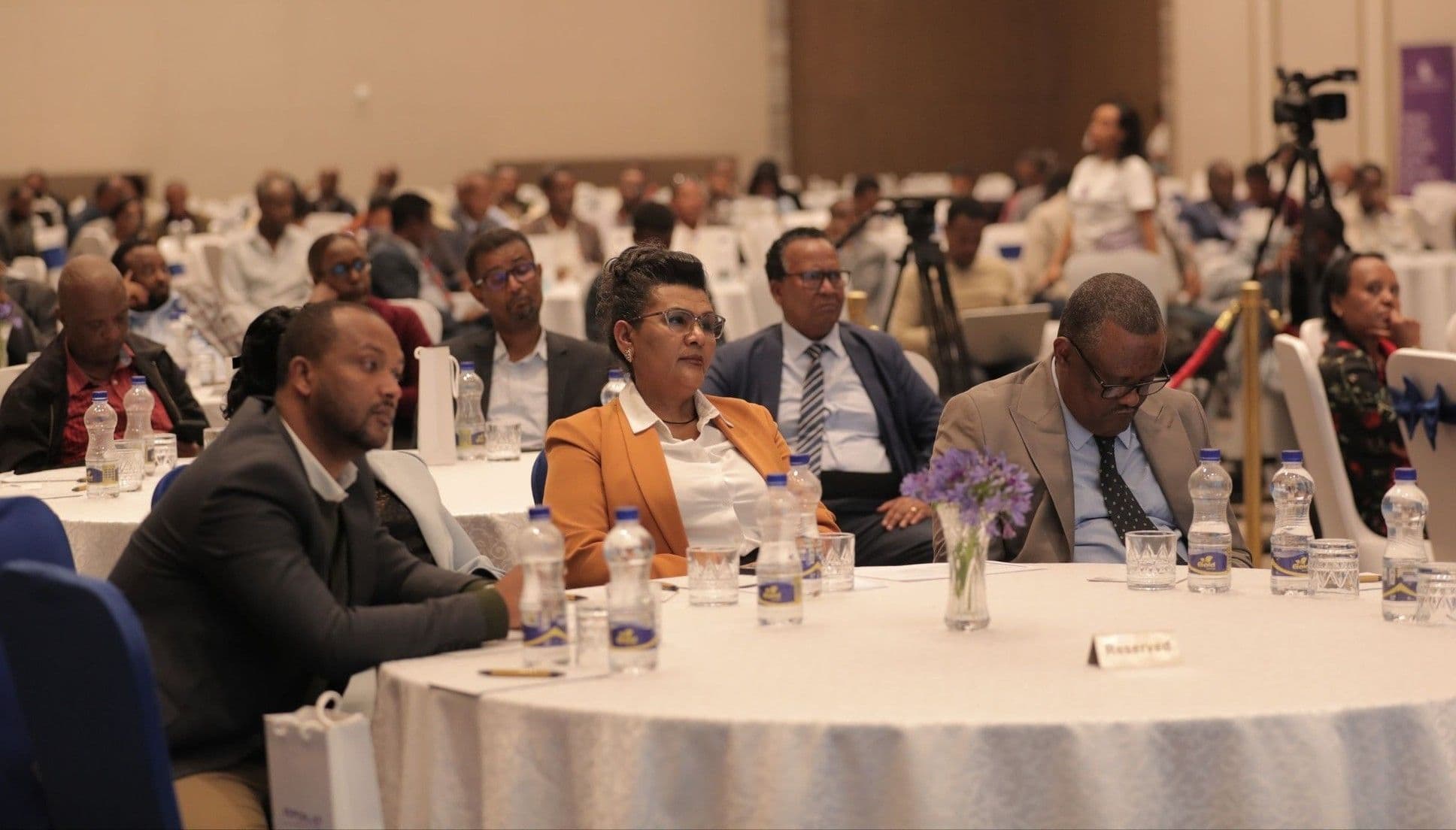 The National Election Board of Ethiopia (NEBE) 