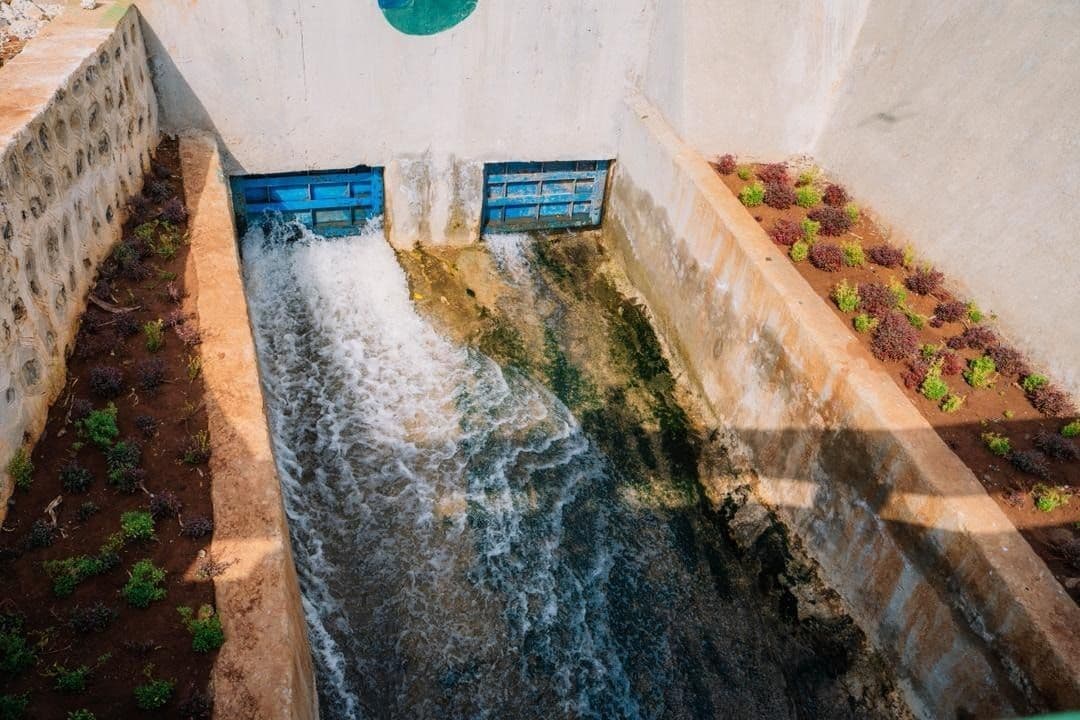 irrigation