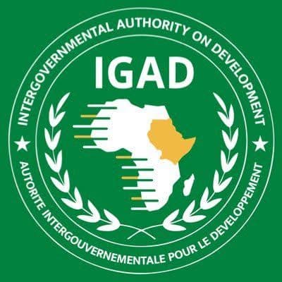 IGAD Election Observation Mission Arrives in Ethiopia Ahead of 7th General Election