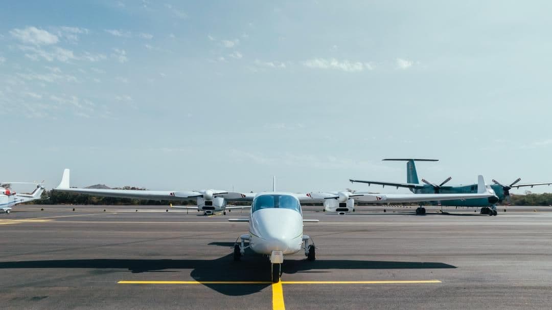 Where Lions Rule the Sky, Horn Region Pacifies 