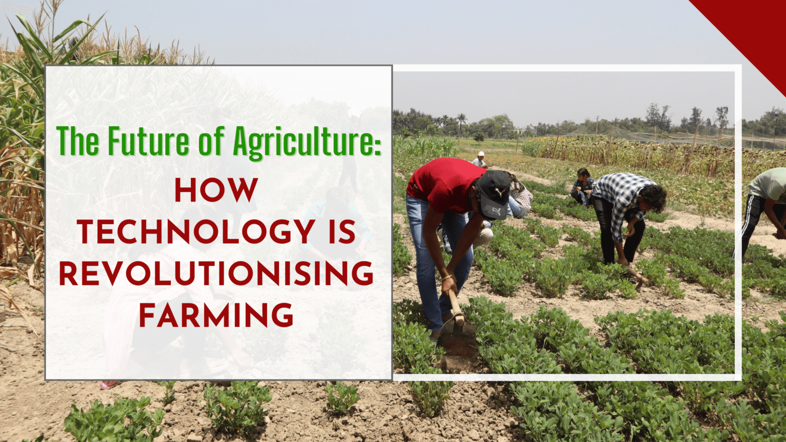 Africa’s Green Revolution Turns Digital: How Technology is Reshaping the Future of Agriculture