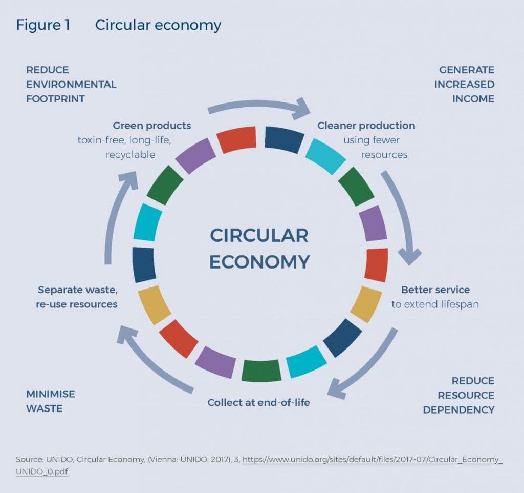 Circular Economy Takes Root in Africa, Driving Jobs and Sustainable Growth