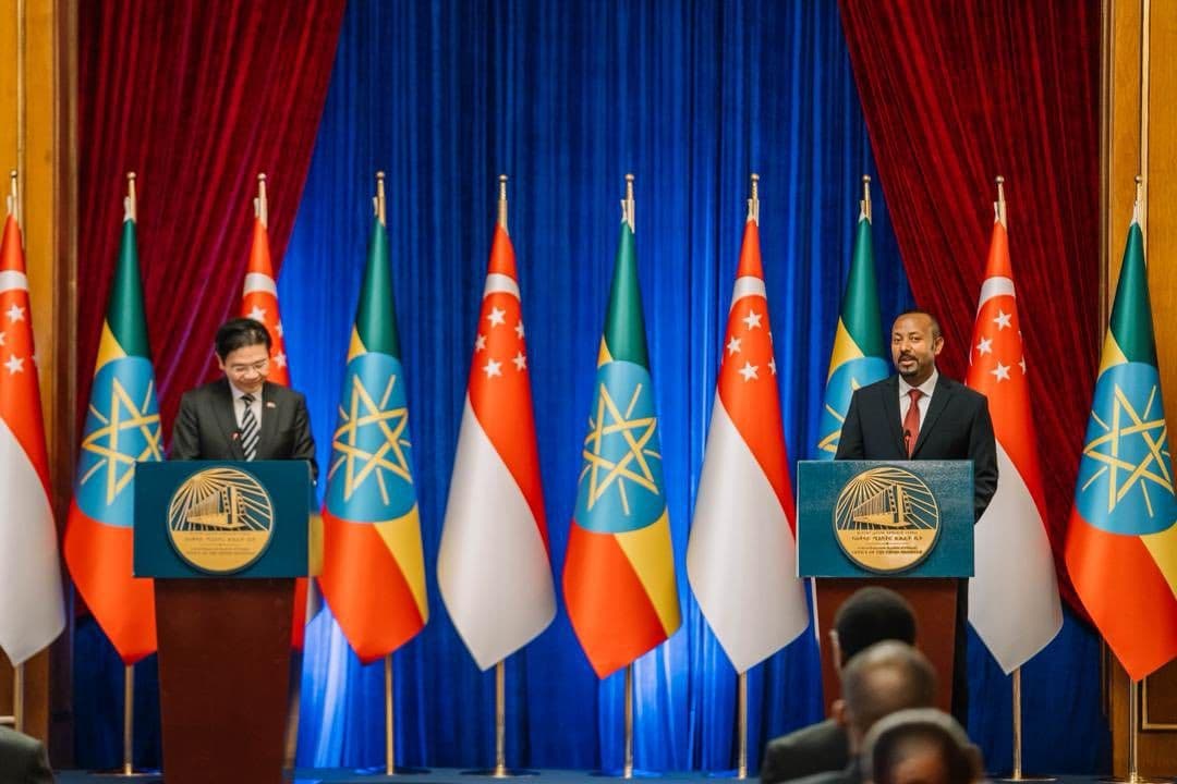 Africa, Asia Catalysing a New Phase of South-South Cooperation