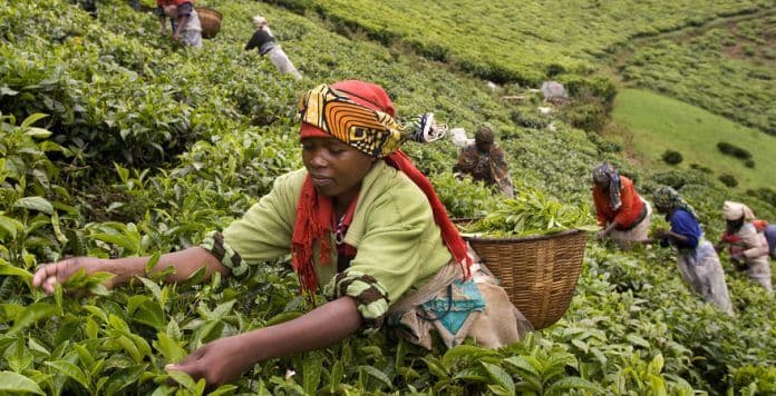Rwanda’s Economy Set to Grow 7.2% in 2026