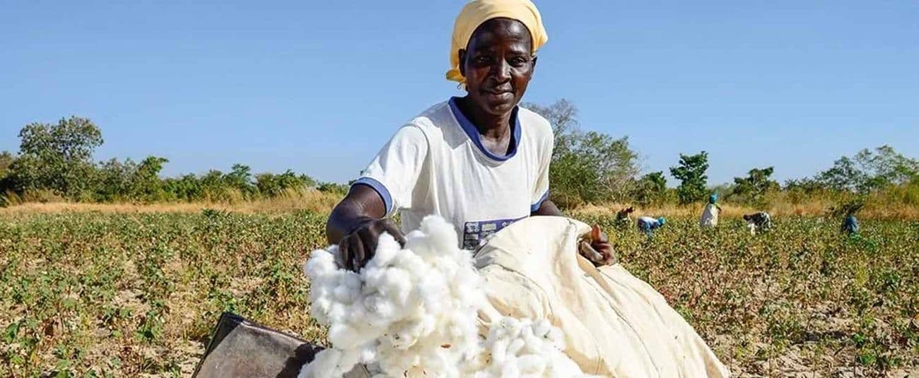 AfDB Backs Africa’s Cotton Potential With $2m Boost to Revive Northern Uganda’s Value Chain
