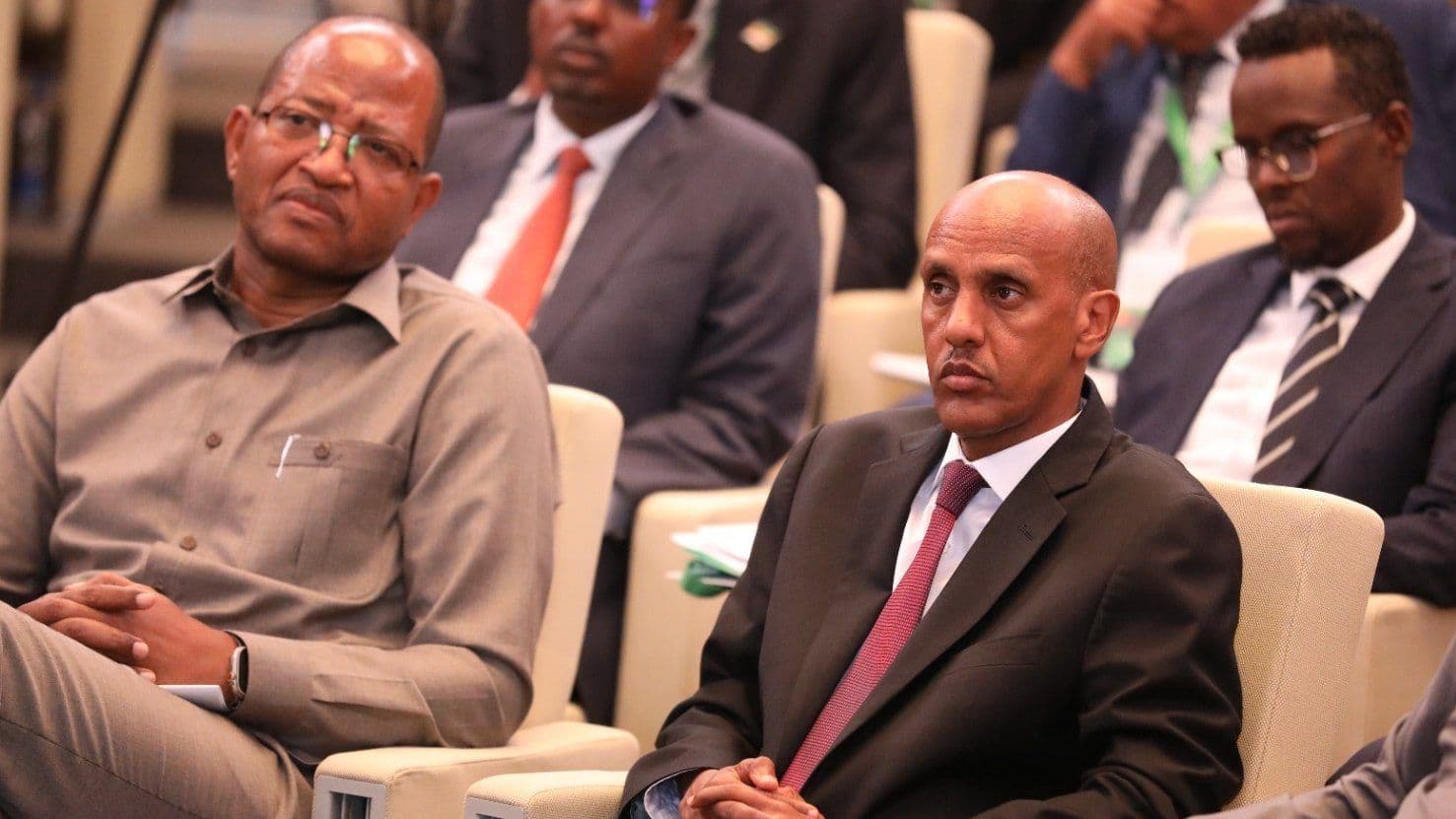 Jigjiga Forum Declared Permanent Platform for Peace and Regional Cooperation in the Horn of Africa