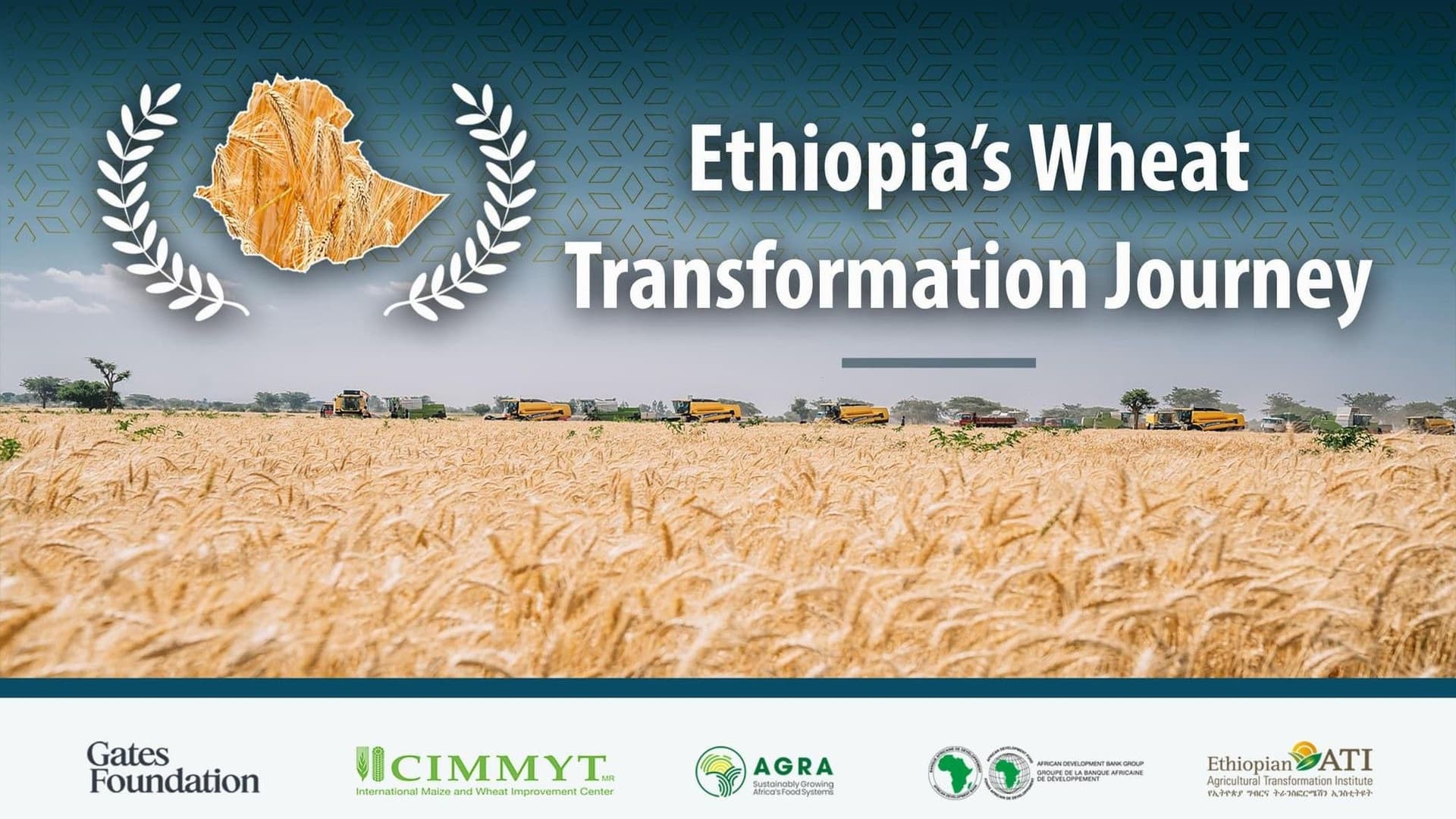 Ethiopia’s Wheat Revolution Takes Center Stage in New Documentary Premiere