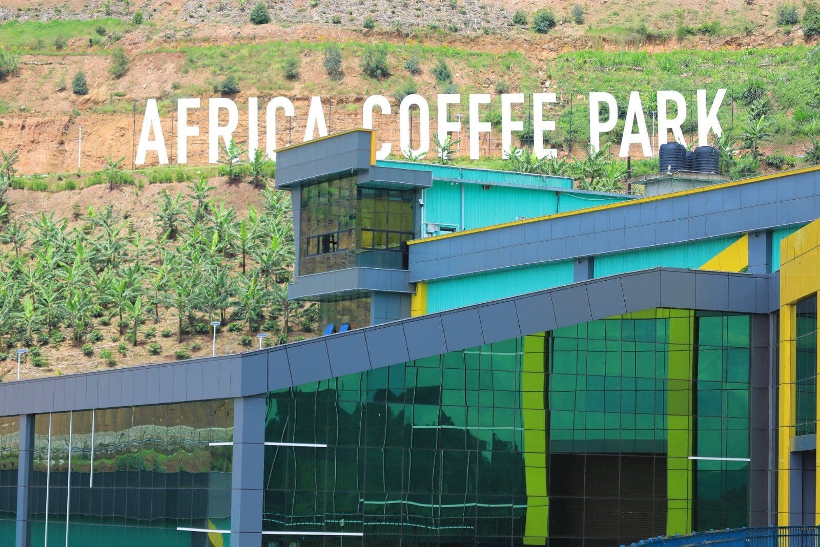 Africa’s Shift to Value-Added Coffee Production