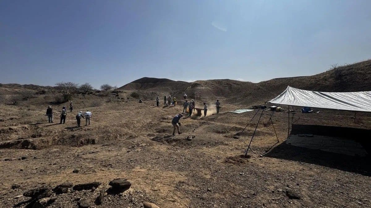 Tell-Tale Signs of Earliest Cremation? Scientists Unearth Charred Bones in Ethiopia
