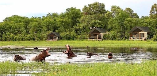 Botswana closes Moremi Game Reserve amid flooding